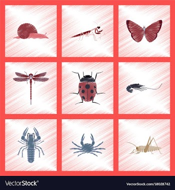 Assembly flat shading style bug snail butterfly vector image