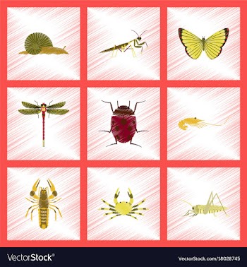 Assembly flat shading style bug snail butterfly vector image