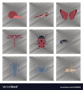 Assembly flat shading style bug snail vector image