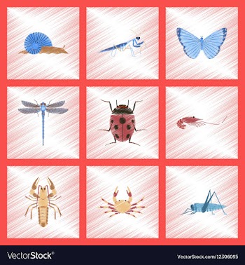 Assembly flat shading style bug snail vector image