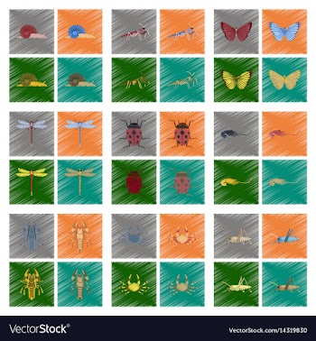 Assembly flat shading style bug snail vector image