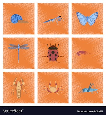 Assembly flat shading style bug snail vector image