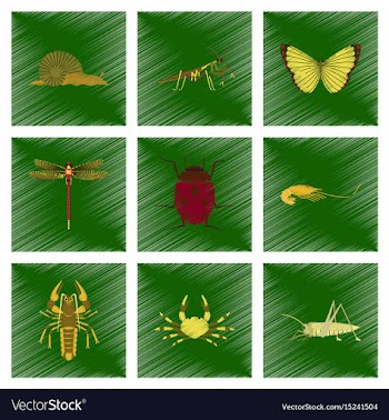 Assembly flat shading style bug snail vector image