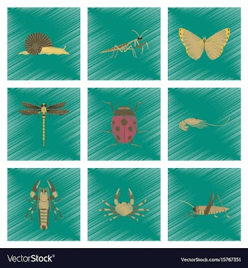 Assembly flat shading style bug snail vector image