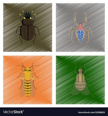 Assembly flat shading style bug vector image