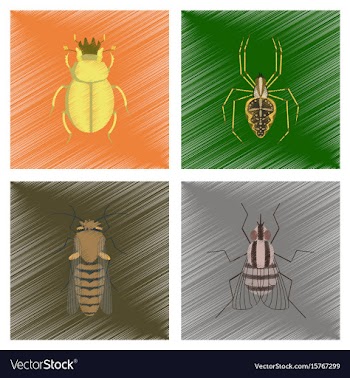 Assembly flat shading style bug vector image