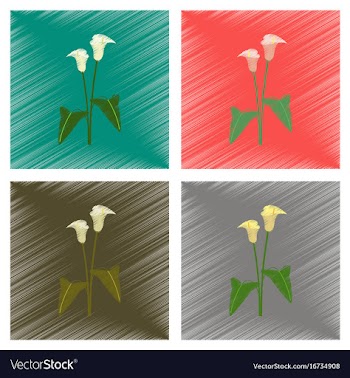 Assembly flat shading style flower calla vector image