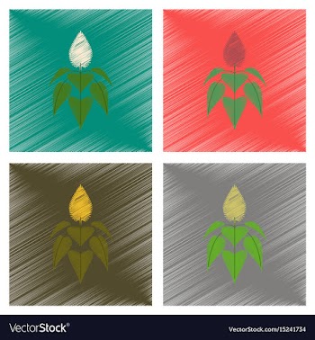 Assembly flat shading style herb vector image