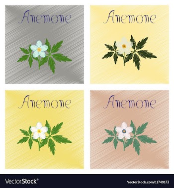 Assembly flat shading style icon flower Anemone vector image