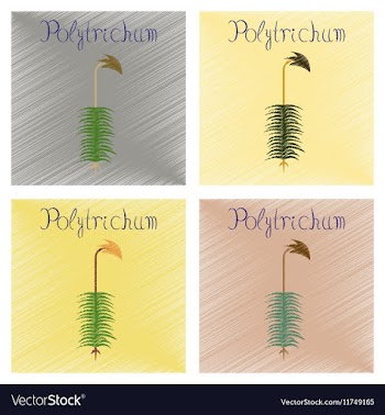 Assembly flat shading style icon nature plant vector image