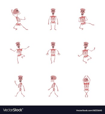 Assembly flat shading style icon skeleton vector image