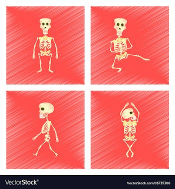 Assembly flat shading style icon skeleton vector image