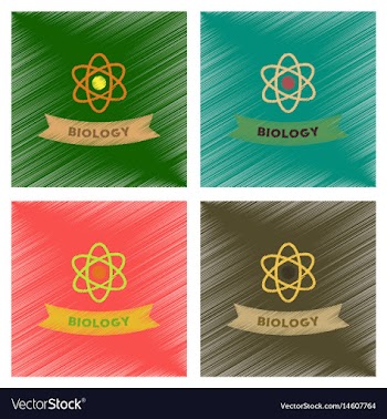 Assembly flat shading style icons biology molecule vector image