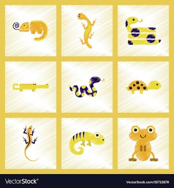 Assembly flat shading style icons exotic wild vector image
