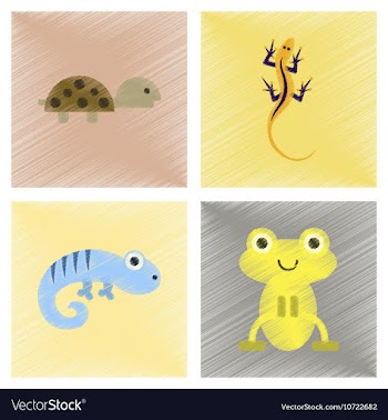 Assembly flat shading style icons exotic wild vector image