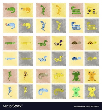 Assembly flat shading style icons exotic wild vector image