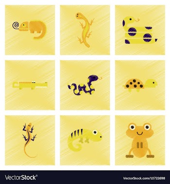 Assembly flat shading style icons exotic wild vector image