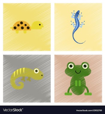Assembly flat shading style icons exotic wild vector image