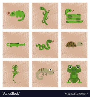 Assembly flat shading style icons exotic wild vector image