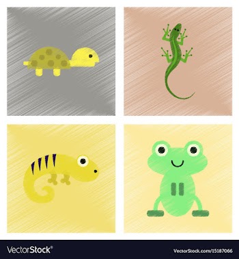 Assembly flat shading style icons exotic wild vector image