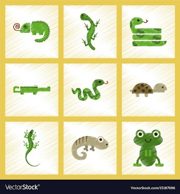 Assembly flat shading style icons exotic wild vector image