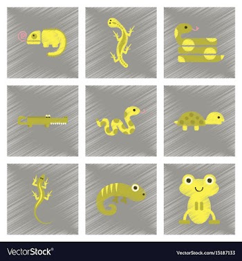 Assembly flat shading style icons exotic wild vector image