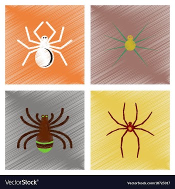 Assembly flat shading style icons halloween spider vector image