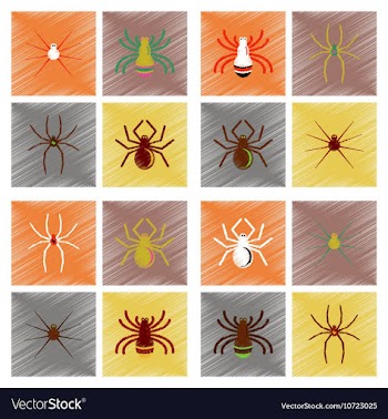 Assembly flat shading style icons halloween spider vector image