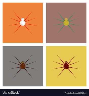 Assembly flat shading style icons halloween spider vector image