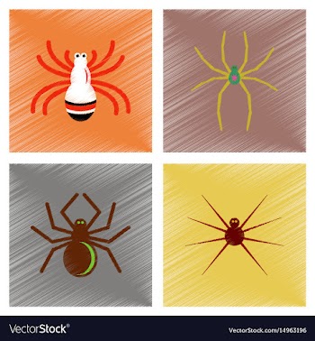 Assembly flat shading style icons halloween spider vector image