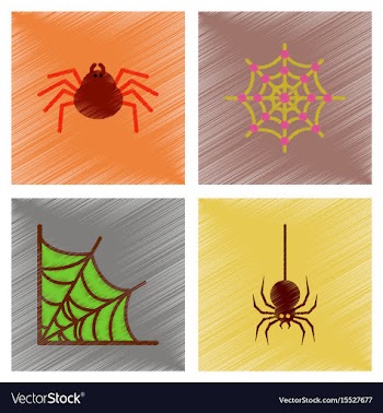 Assembly flat shading style icons halloween spider vector image