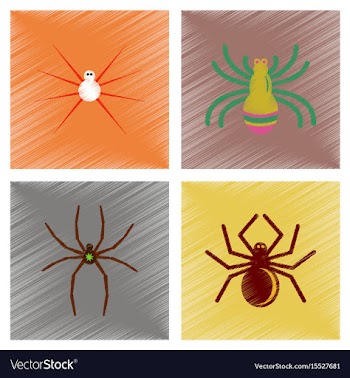 Assembly flat shading style icons halloween spider vector image