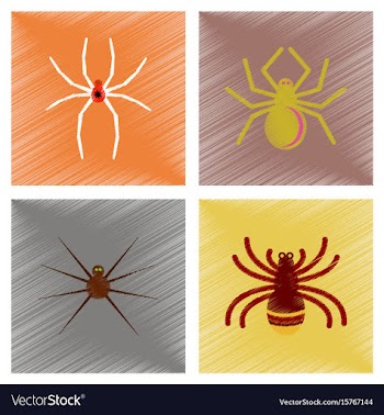 Assembly flat shading style icons halloween spider vector image