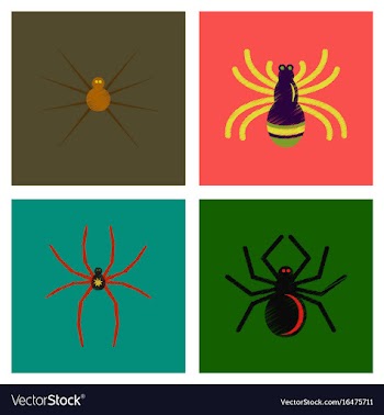 Assembly flat shading style icons halloween spider vector image