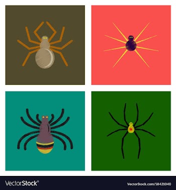 Assembly flat shading style icons halloween spider vector image
