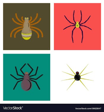 Assembly flat shading style icons halloween spider vector image