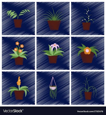 Assembly flat shading style icons houseplants vector image