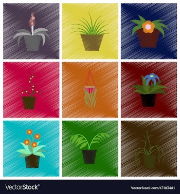 Assembly flat shading style icons houseplants vector image