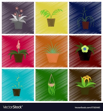 Assembly flat shading style icons houseplants vector image