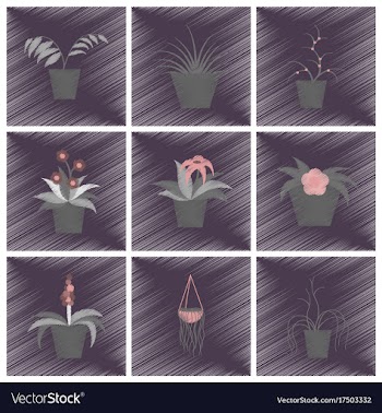 Assembly flat shading style icons houseplants vector image