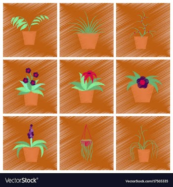 Assembly flat shading style icons houseplants vector image