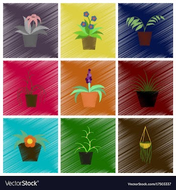 Assembly flat shading style icons houseplants vector image