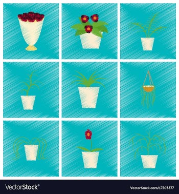 Assembly flat shading style icons houseplants vector image