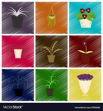 Assembly flat shading style icons houseplants vector image