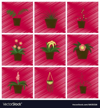 Assembly flat shading style icons houseplants vector image