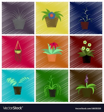 Assembly flat shading style icons houseplants vector image