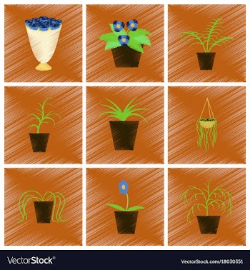 Assembly flat shading style icons houseplants vector image