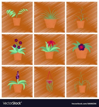 Assembly flat shading style icons houseplants vector image