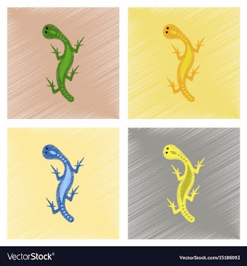 Assembly flat shading style icons lizard reptile vector image