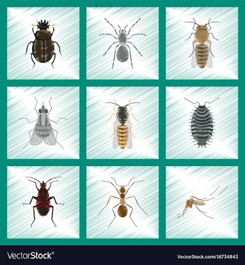 Assembly flat shading style insect honey wasp vector image